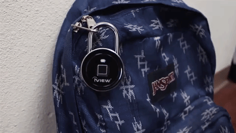 iView Simplifies Security with a Fingerprint Reading Lock, FL200
