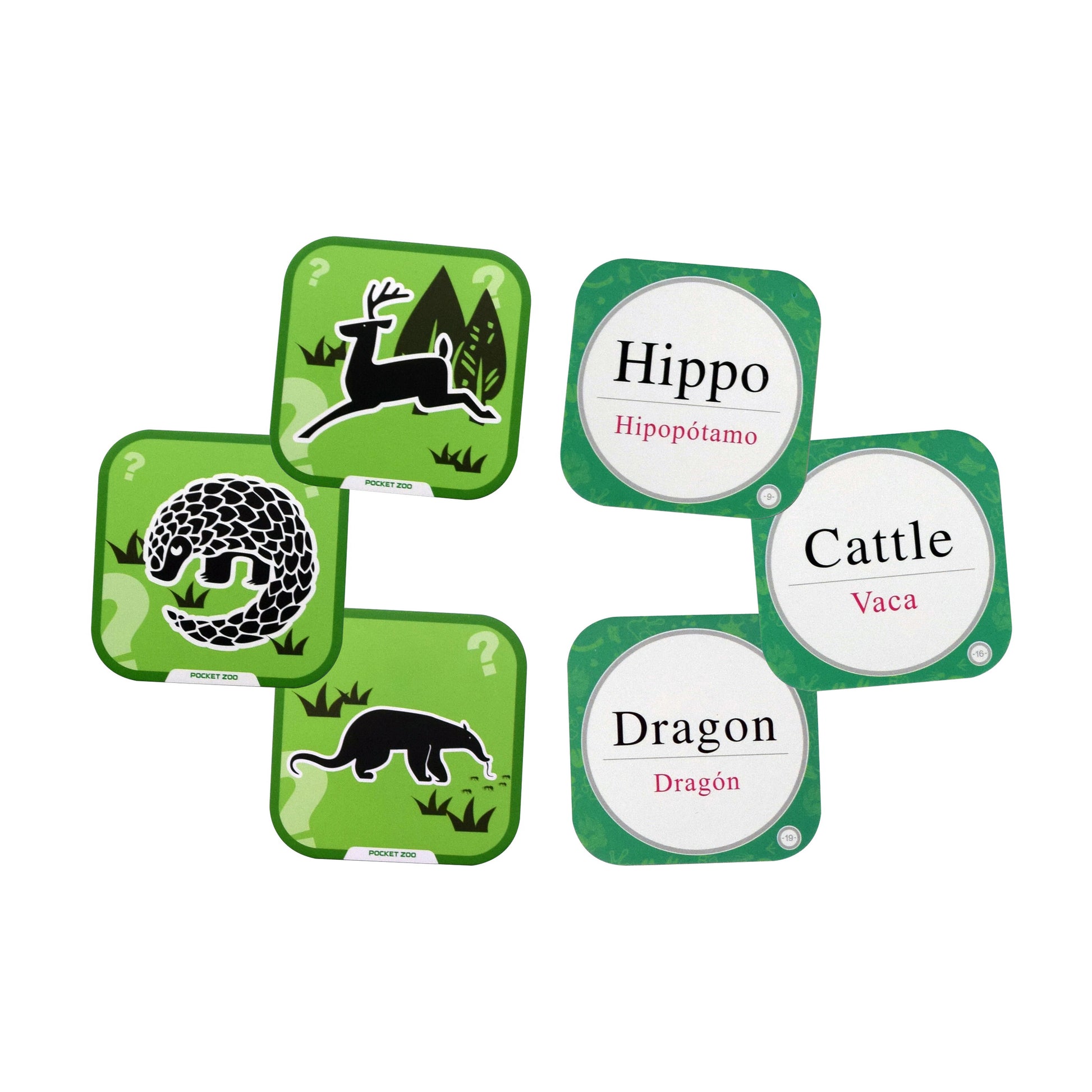 Iview Popup Zoo 4D interactive green flashcards